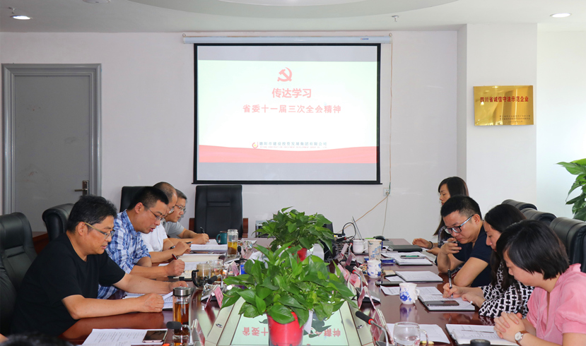 集團(tuán)公司黨委書記、董事長姜俊宣講省委十一屆三次全會精神